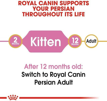 Persian Kitten Cat Food