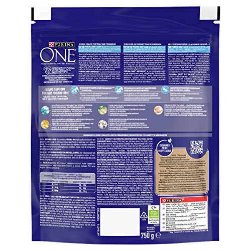 PURINA ONE Dry Cat Food