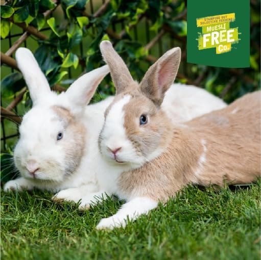 Burgess Excel Rabbit Food with Mint, 1.8kg – Adult Rabbit Nuggets – High Fibre, Mint Pellets