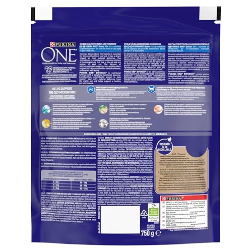 PURINA ONE | Dry Cat Food