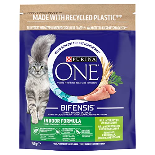 PURINA ONE Dry Cat Food