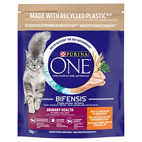 PURINA ONE Dry Cat Food