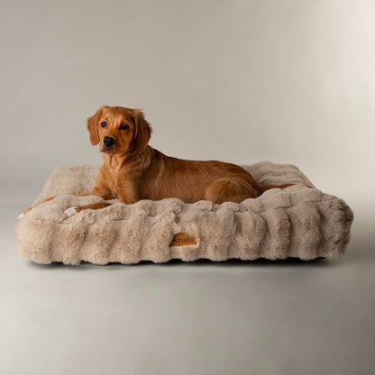 Scruffs Luxury Alpine Box Bed For Dogs or Cats (M)