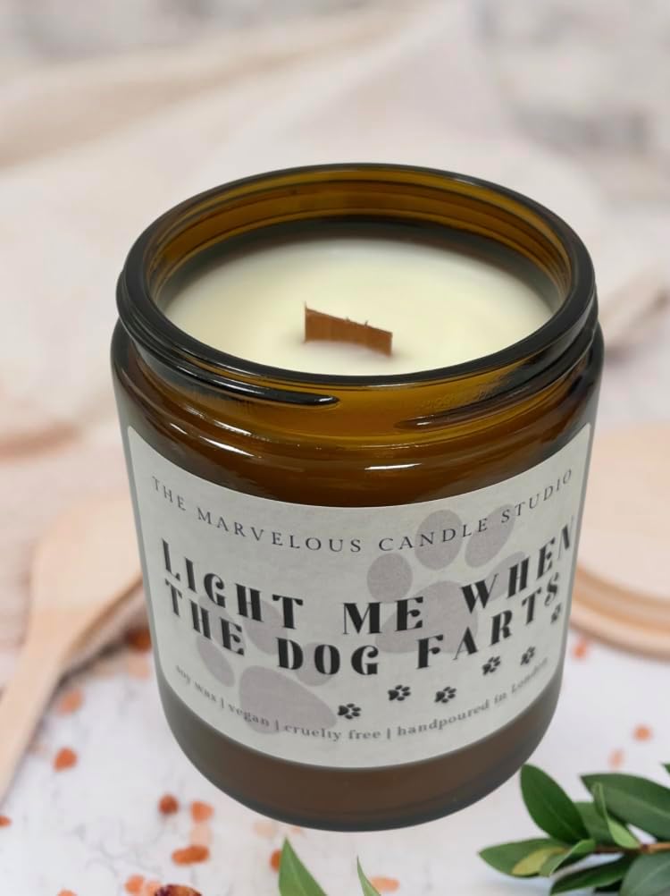 Dog Fart Buster Scented Soy Candle | Funny Pet Lover Gift | Vegan Home Fragrance | Gag Gift for Animal Parents | Novelty Odor Eliminator Candle - (Dog Farts)