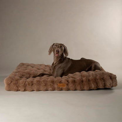 Scruffs Luxury Alpine Box Bed For Dogs or Cats (M)