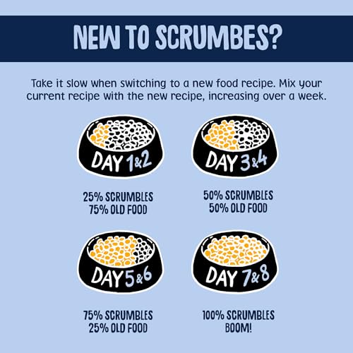 Scrumbles All Natural Dry Cat Food With 75% Chicken and Fresh Salmon, High Protein Food for Adults And Seniors