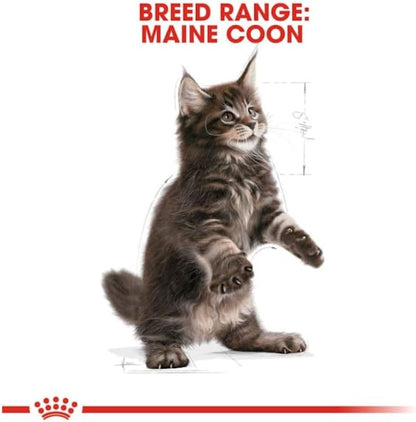 Maine Coon Kitten Food 4 x 400g