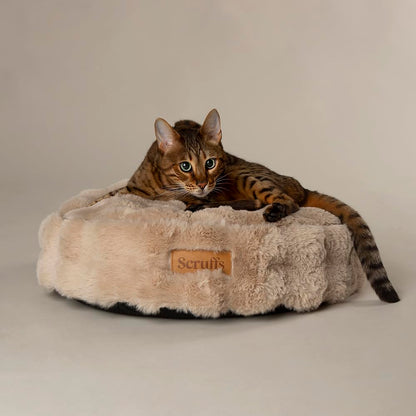 Scruffs Luxury Alpine Box Bed For Dogs or Cats (M)