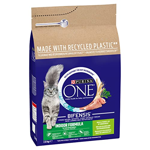PURINA ONE Dry Cat Food