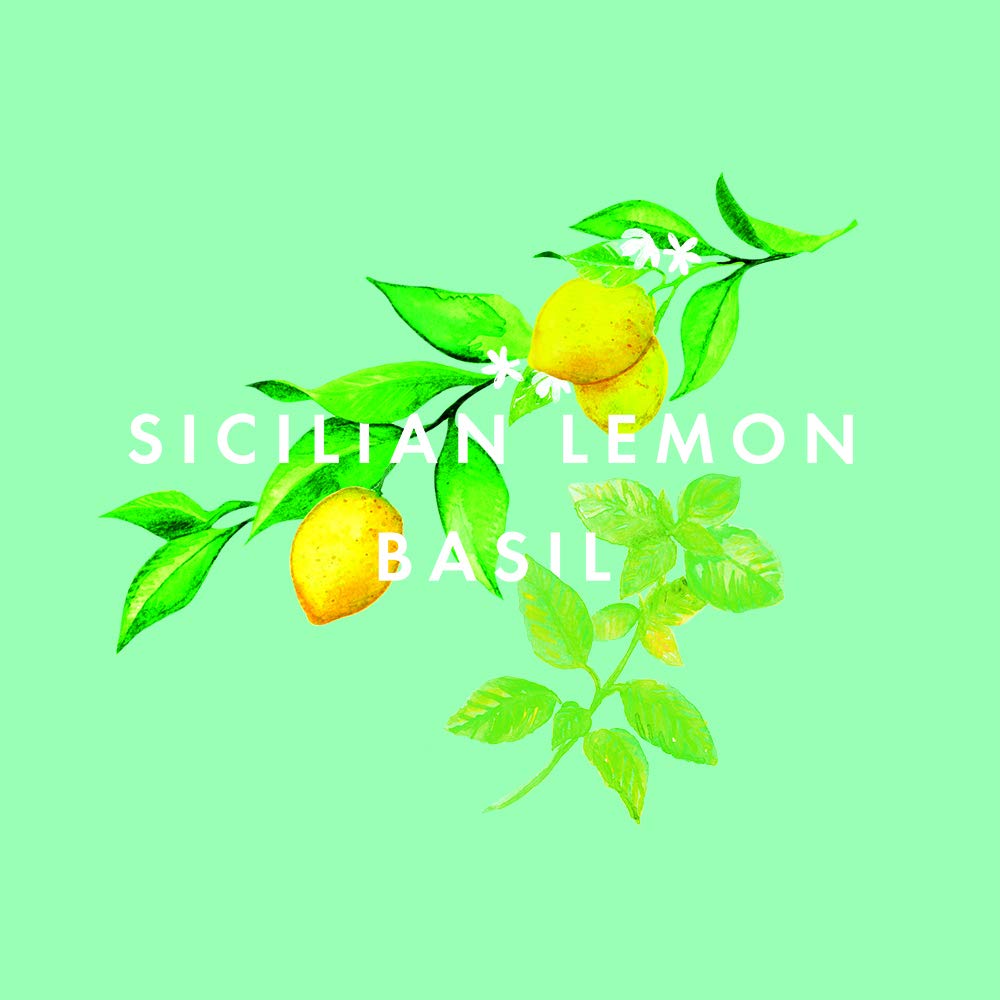 NEOM - Real Luxury Essential Oil Blend, 10ml | Lavender, Jasmine & Sandalwood | Scent to De-Stress Range