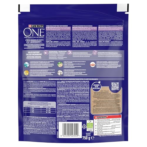 PURINA ONE | Dry Cat Food