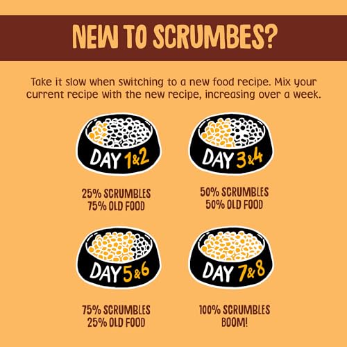 Scrumbles All Natural Dry Cat Food With 75% Chicken and Fresh Salmon, High Protein Food for Adults And Seniors
