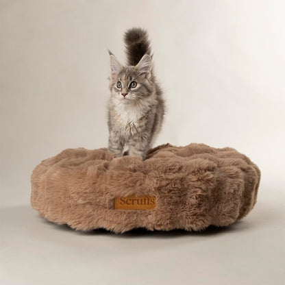 Scruffs Luxury Alpine Box Bed For Dogs or Cats (M)