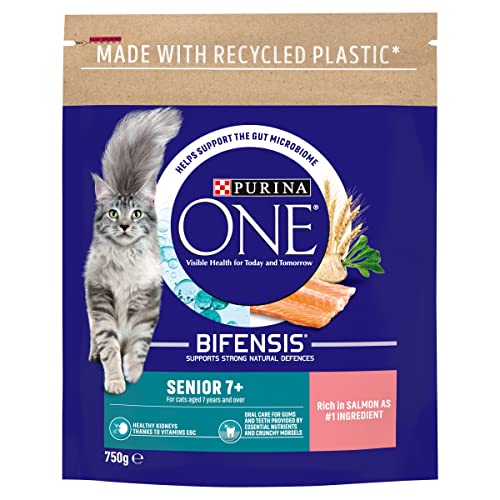 PURINA ONE Dry Cat Food