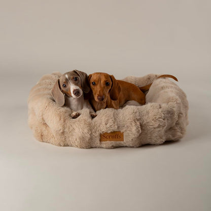 Scruffs Luxury Alpine Box Bed For Dogs or Cats (M)