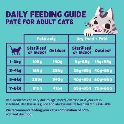 Grain Free Wet Cat Food Paté Salmon & Chicken 16 x 85g