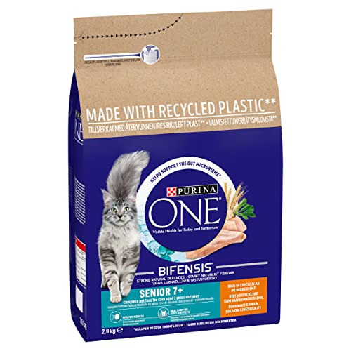 PURINA ONE Dry Cat Food