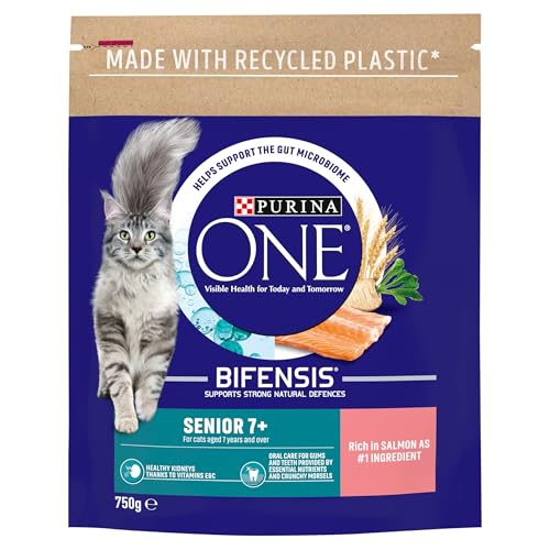 PURINA ONE | Dry Cat Food