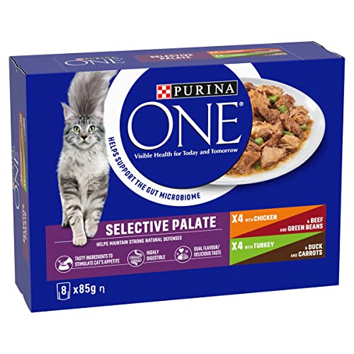 PURINA ONE Adult Cat Food Mini Fillets in Gravy 40 x 85g