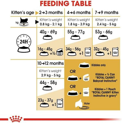 Persian Kitten Cat Food