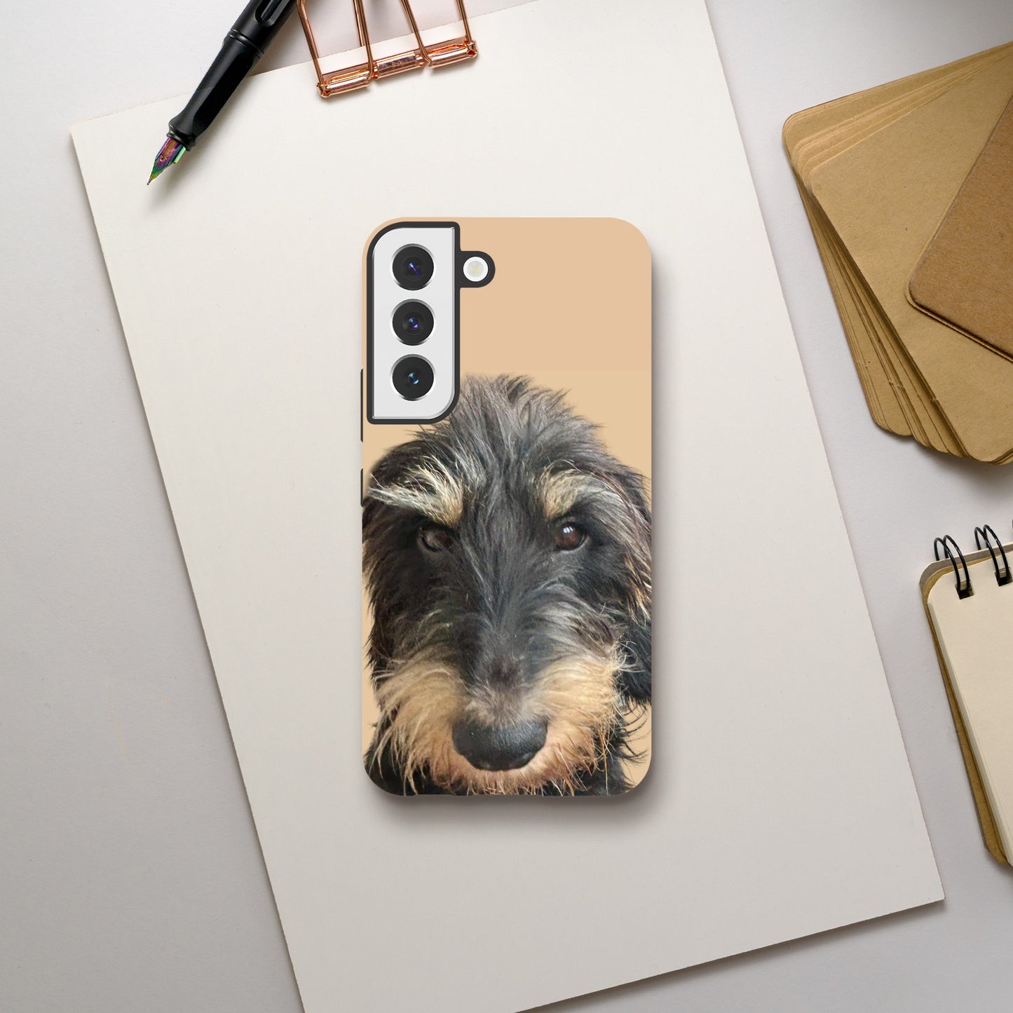 57dab168-b94d-4fbc-bb31-26459fcecbf1