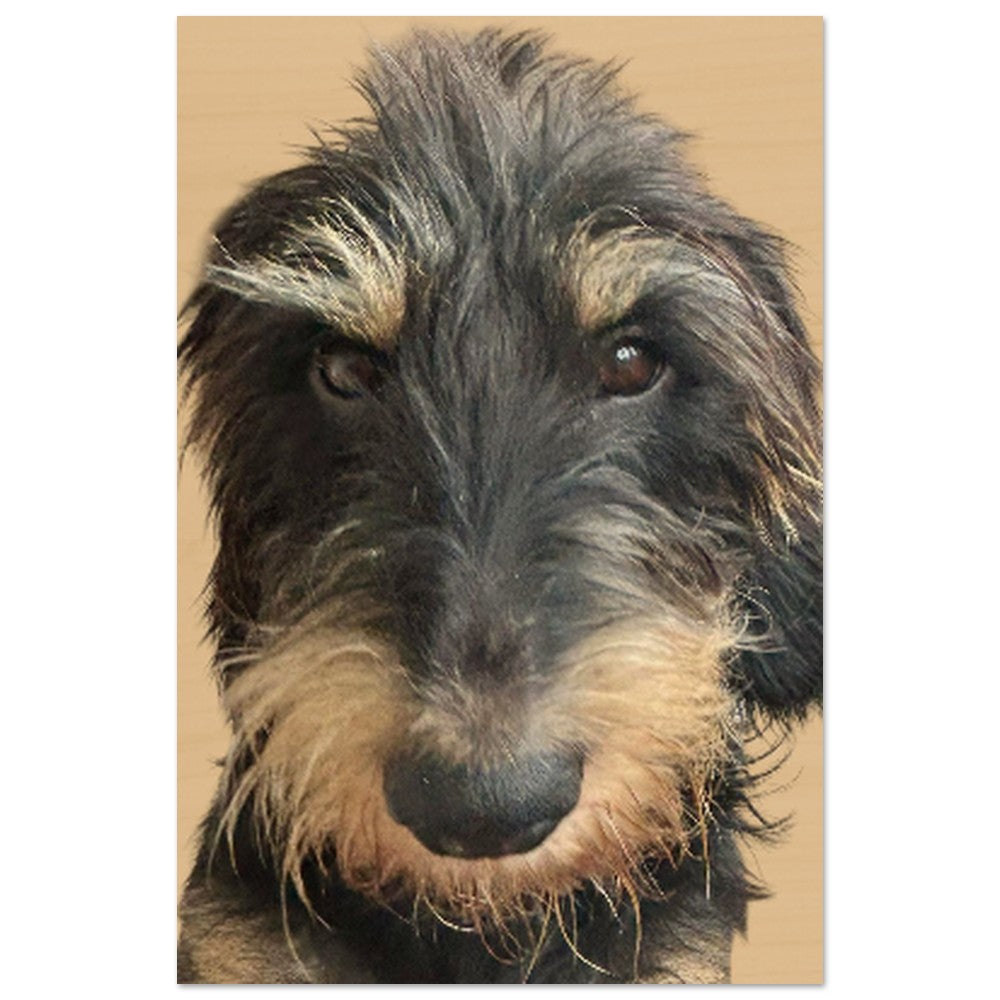 599c8d94-40c4-44a8-8d67-1a071f4874ec