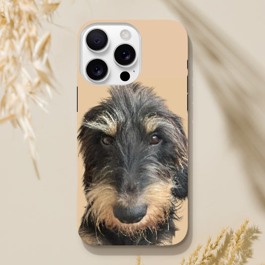 5d92fe65-c148-4b7d-bf0d-a2c57dc37cb4