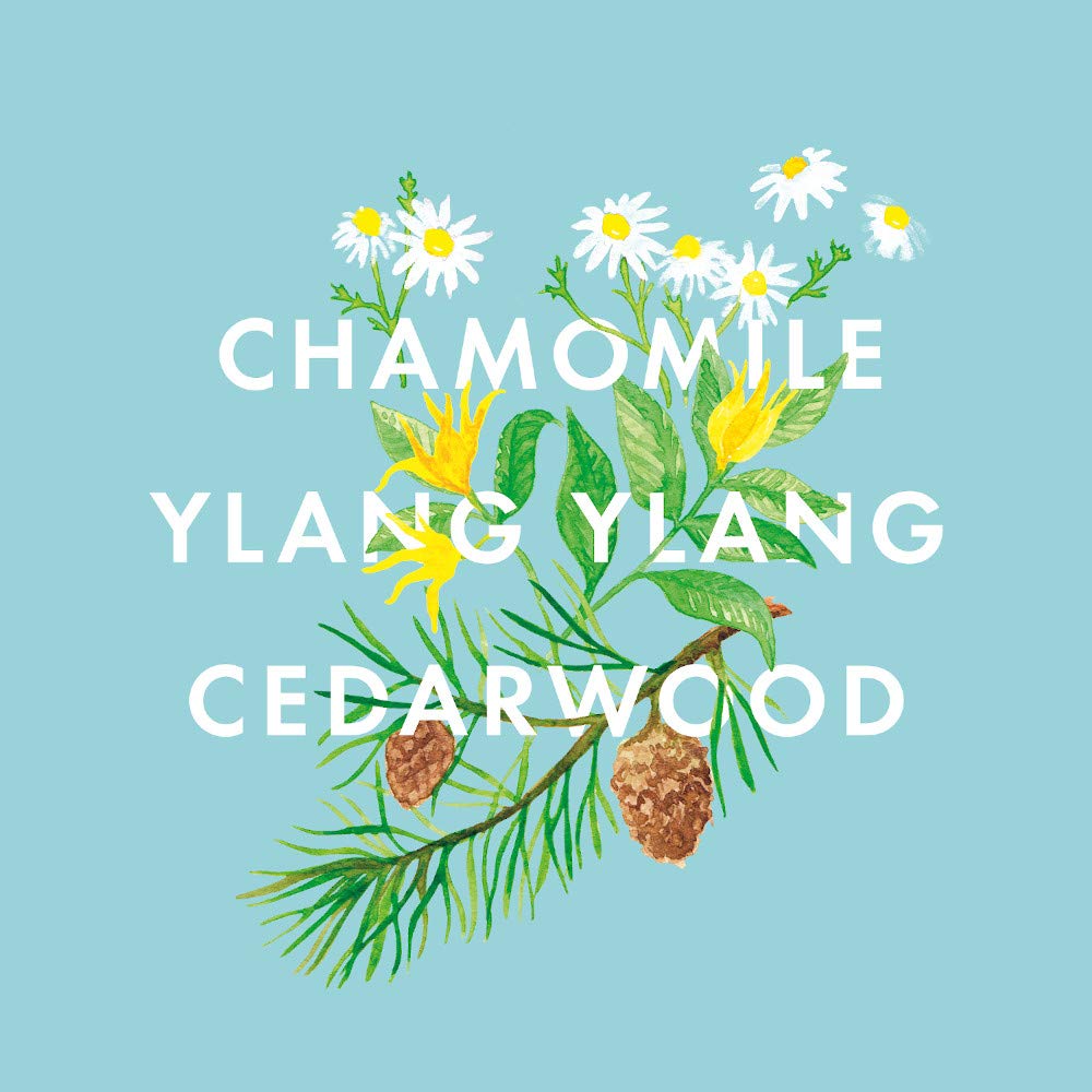 NEOM - Real Luxury Essential Oil Blend, 10ml | Lavender, Jasmine & Sandalwood | Scent to De-Stress Range