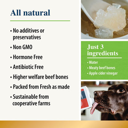 Chicken Bone Broth for Dogs & Cats - Free Range | 100% Real & Natural Liquid Bone Broth for Pets | High in Collagen & Protein for Healthy Joints, Gut, Digestion, Skin & Sickness Recovery