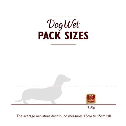 Natural Adult Wet Dog Food Cottage Pie Grain-Free Recipe 10 x 150g
