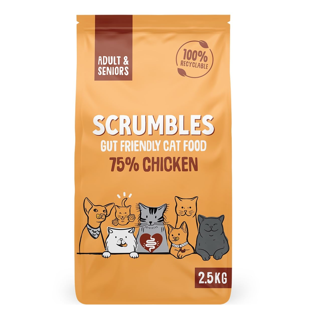 Scrumbles All Natural Dry Cat Food With 75% Chicken and Fresh Salmon, High Protein Food for Adults And Seniors