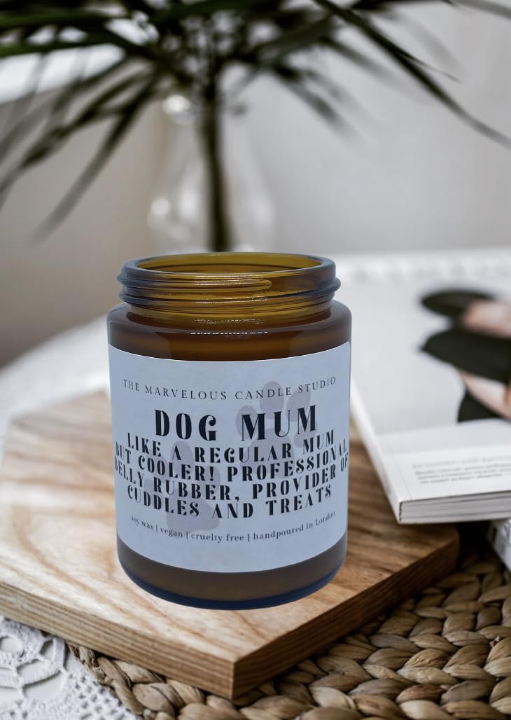Dog Fart Buster Scented Soy Candle | Funny Pet Lover Gift | Vegan Home Fragrance | Gag Gift for Animal Parents | Novelty Odor Eliminator Candle - (Dog Farts)