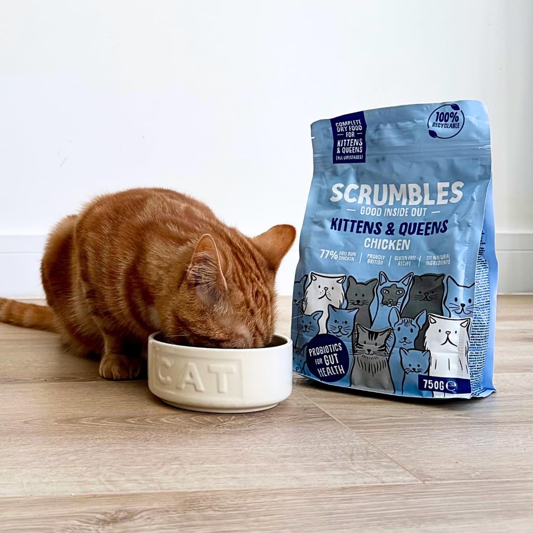 Scrumbles All Natural Dry Cat Food With 75% Chicken and Fresh Salmon, High Protein Food for Adults And Seniors