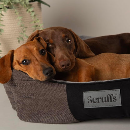 Scruffs Chester Box Bed Graphite