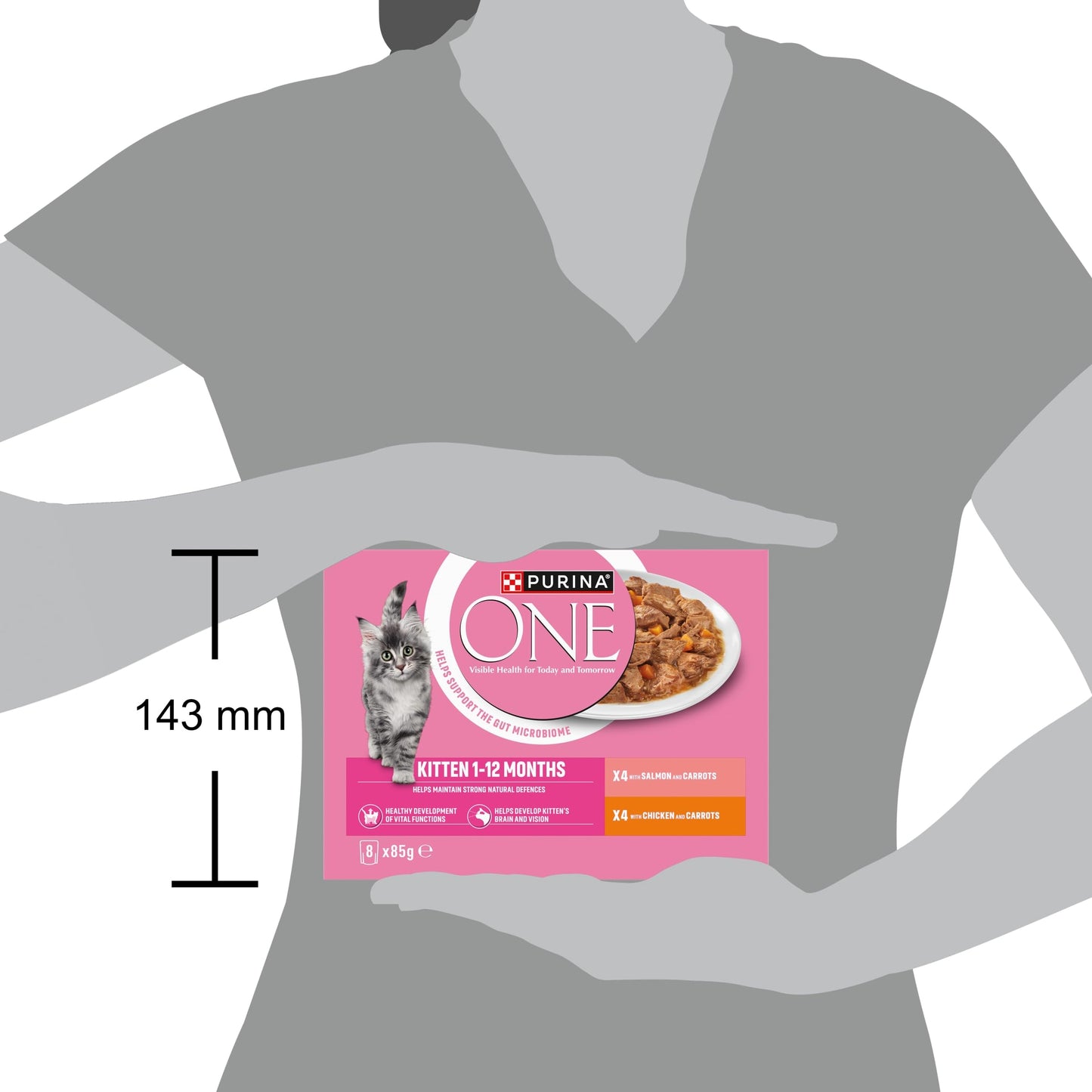 PURINA ONE Adult Cat Food Mini Fillets in Gravy 40 x 85g