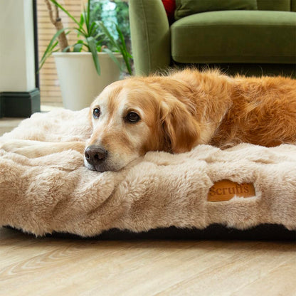 Scruffs Luxury Alpine Box Bed For Dogs or Cats (M)