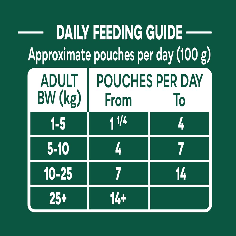 Natures Menu Hearty Stews - Chunks in Gravy Wet Food Pouches for Adult Dogs