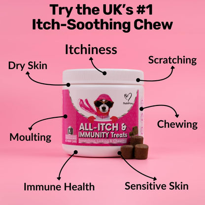 All-Itch Flea & Tick Treats for Dogs