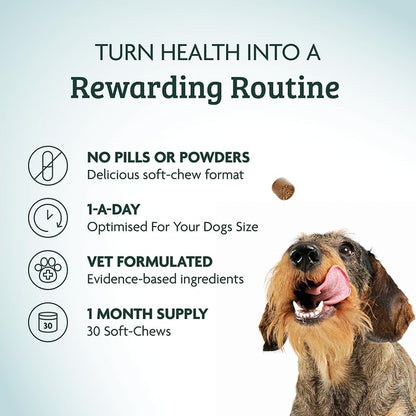 Omni Dog Daily Calming Supplement – Vet-approved and Hypoallergenic Chews