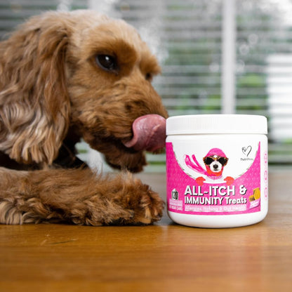All-Itch Flea & Tick Treats for Dogs