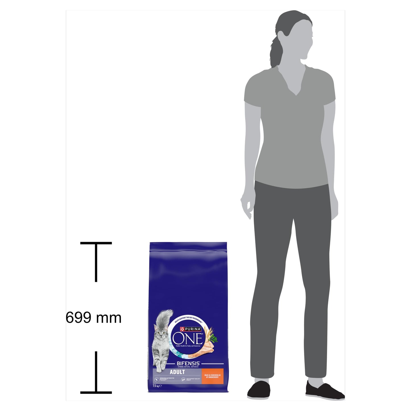 PURINA ONE Dry Cat Food