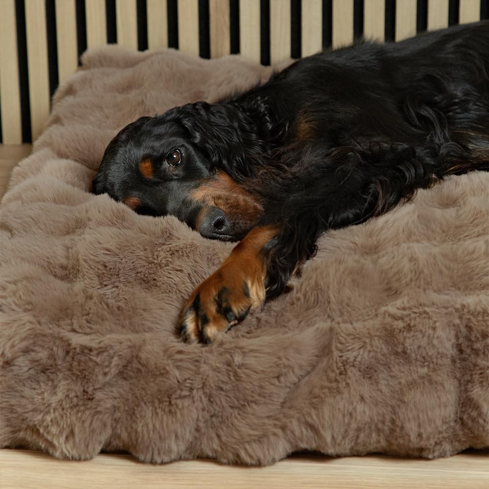 Scruffs Luxury Alpine Box Bed For Dogs or Cats (M)