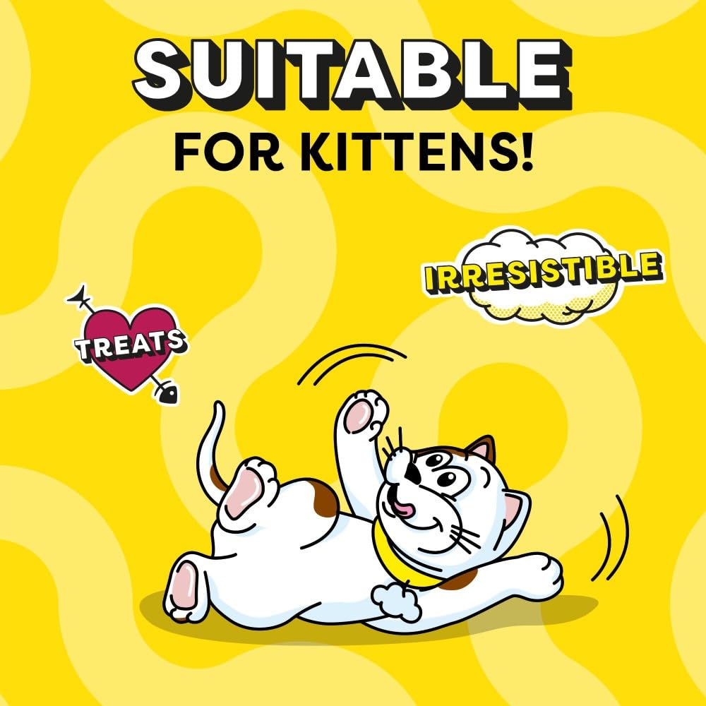 DREAMIES - Cat Treats - 12 x 60g - Multipack Biscuits - Variety Snack Box - 12 Pouches