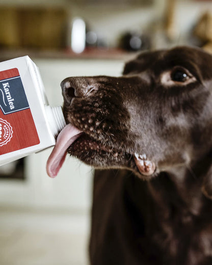 Chicken Bone Broth for Dogs & Cats - Free Range | 100% Real & Natural Liquid Bone Broth for Pets | High in Collagen & Protein for Healthy Joints, Gut, Digestion, Skin & Sickness Recovery