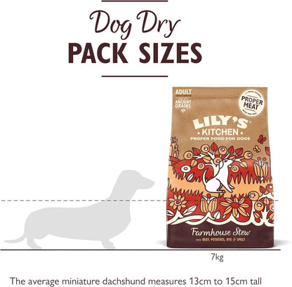 Natural Adult Dry Dog Food Beef Stew with Ancient Grains 1kg