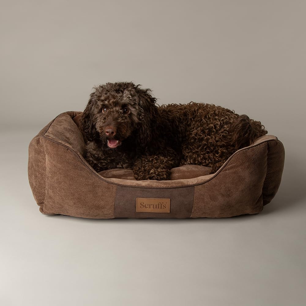 Scruffs Chester Box Bed Graphite