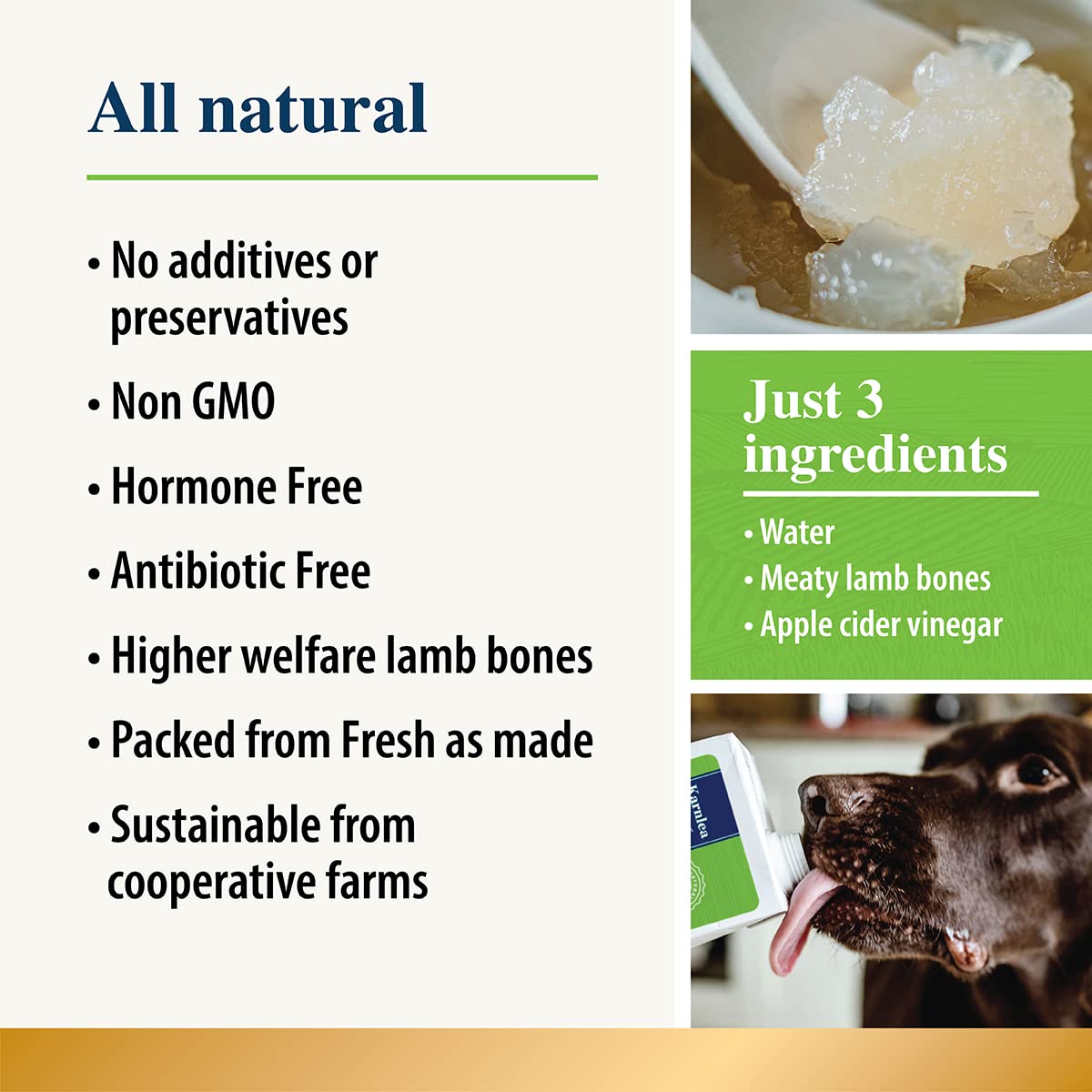 Chicken Bone Broth for Dogs & Cats - Free Range | 100% Real & Natural Liquid Bone Broth for Pets | High in Collagen & Protein for Healthy Joints, Gut, Digestion, Skin & Sickness Recovery