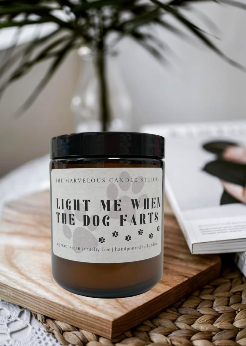 Dog Fart Buster Scented Soy Candle | Funny Pet Lover Gift | Vegan Home Fragrance | Gag Gift for Animal Parents | Novelty Odor Eliminator Candle - (Dog Farts)