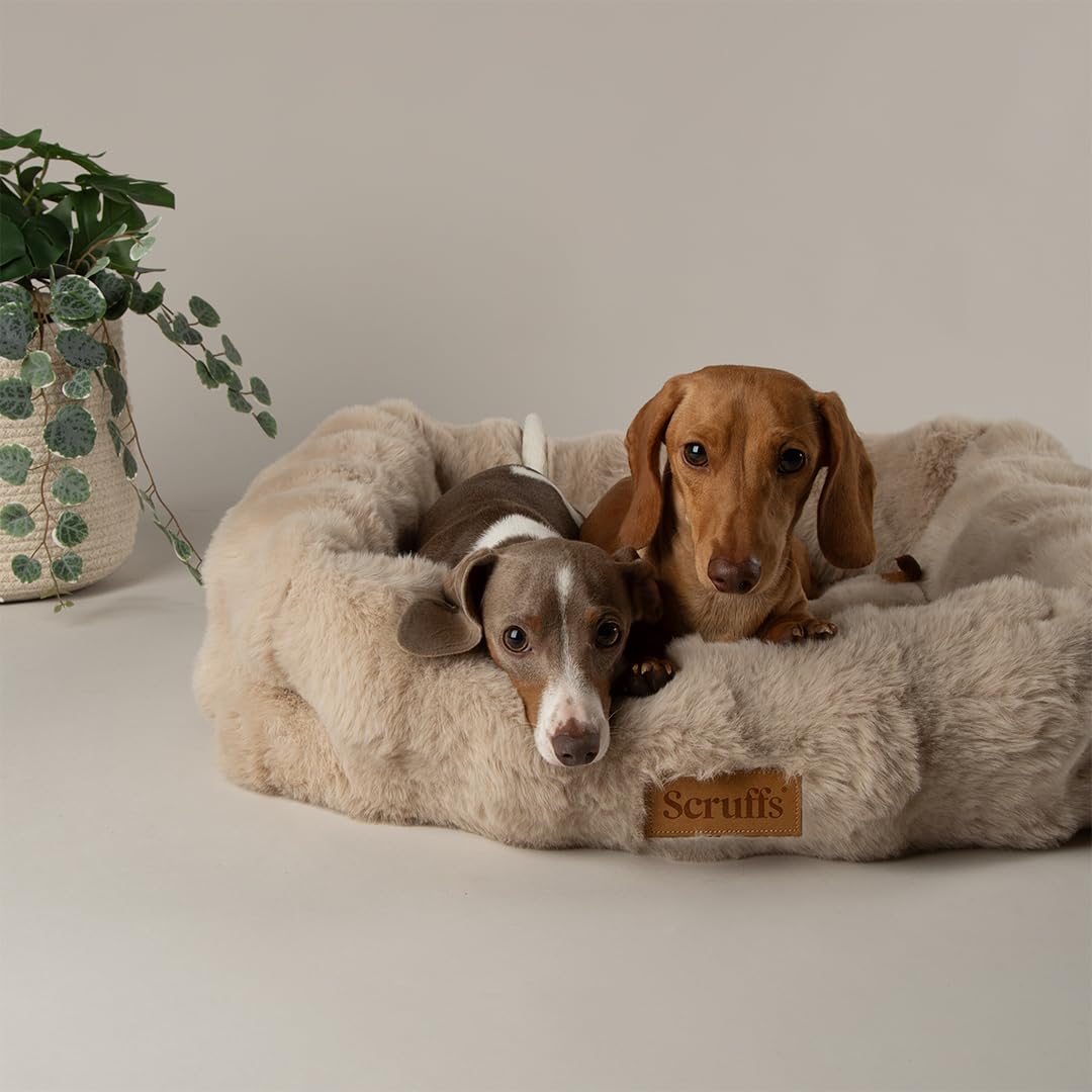 Scruffs Luxury Alpine Box Bed For Dogs or Cats (M)