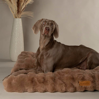 Scruffs Luxury Alpine Box Bed For Dogs or Cats (M)